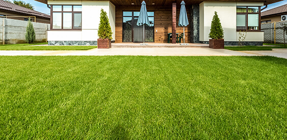 These fertilizers provide the basic elements needed for good lawn and garden care. 