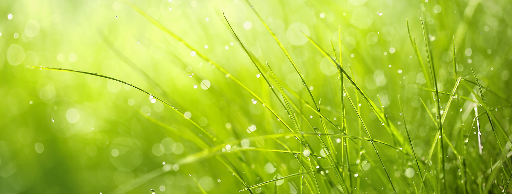 Basic lawn and garden fertilizers made with quality raw materials.