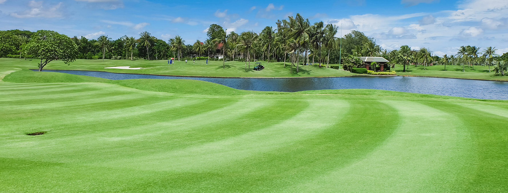 Includes Professional Pre-Emergent, Post-Emergent, Golf Course/Turf/Ornamental, Insect Control, and Granular Fungicide products.