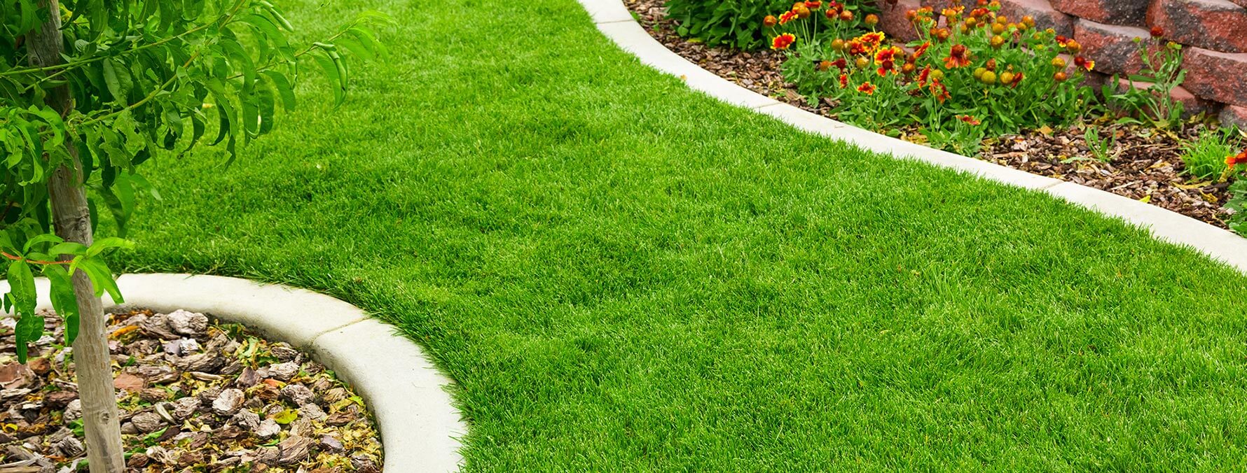 These fertilizers provide the basic elements needed for good lawn and garden care. Each provides a balanced blend of nutrients and ingredients to promote healthy plant growth. They can be used in all areas of the country.