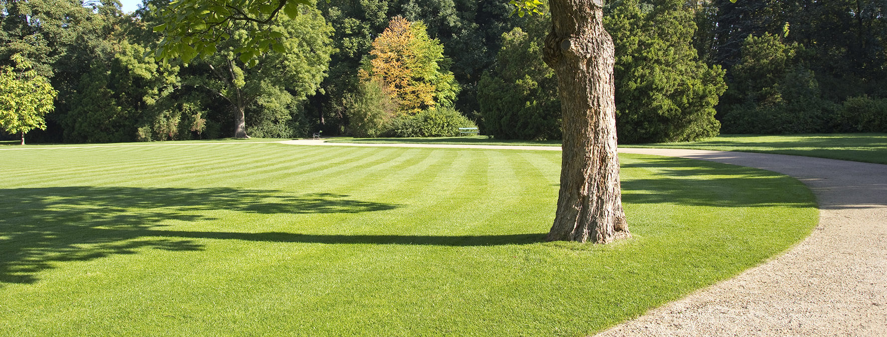 Branded and Generic options for prevention of grasses and broad leaf weeds.